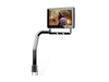 Swing Arm